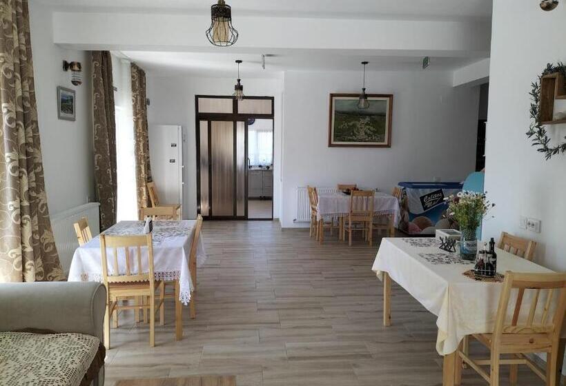 Пансион Conacul Doamnei Nucșoara