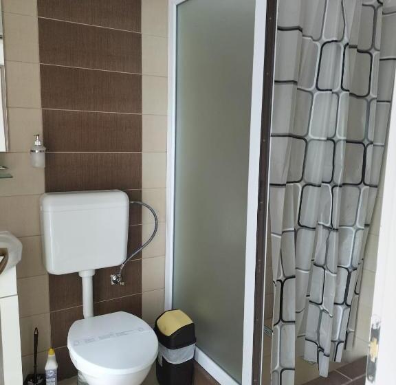 Пансион Conacul Doamnei Nucșoara