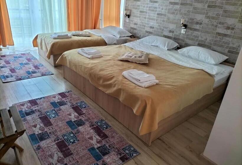 Пансион Conacul Doamnei Nucșoara