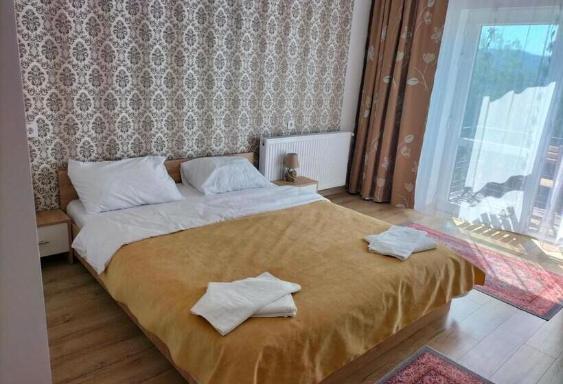 Пансион Conacul Doamnei Nucșoara