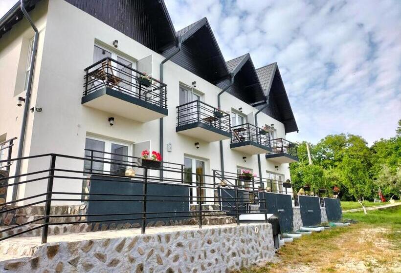 Пансион Conacul Doamnei Nucșoara