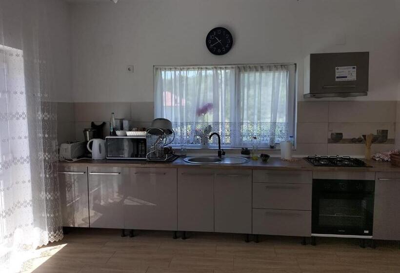 Пансион Conacul Doamnei Nucșoara