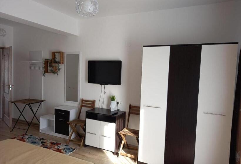 Пансион Conacul Doamnei Nucșoara