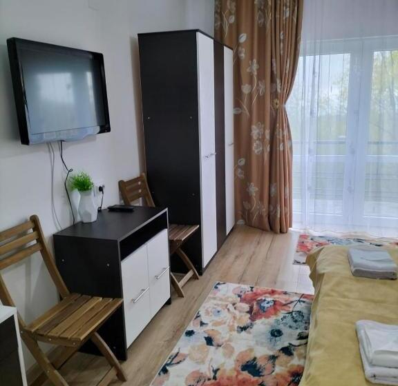 Пансион Conacul Doamnei Nucșoara