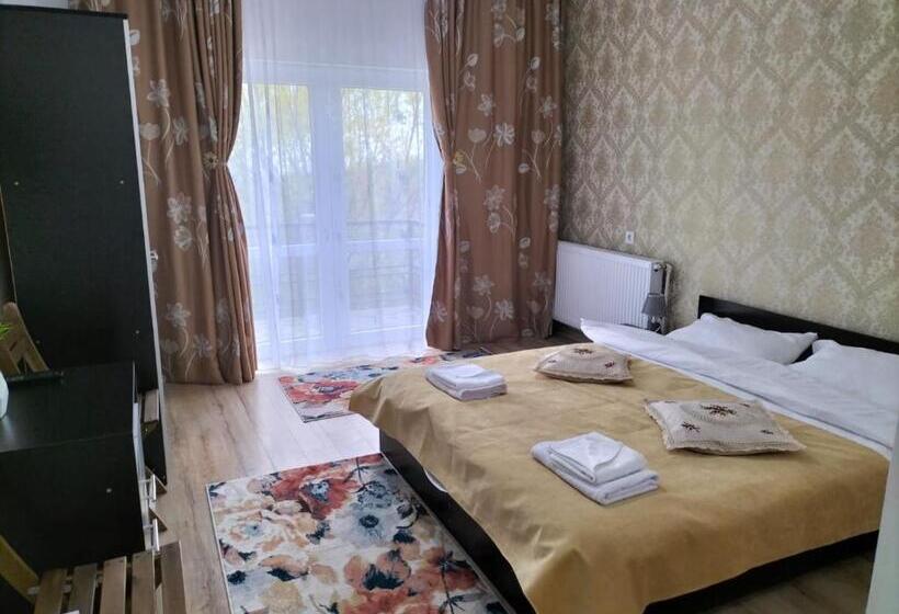 Пансион Conacul Doamnei Nucșoara