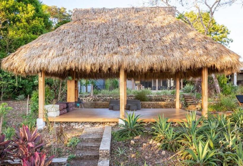 Thea Resort & Retreats Santa Teresa