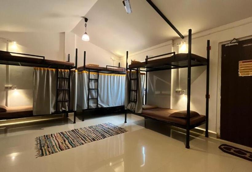 הוסטל Bunknbrew