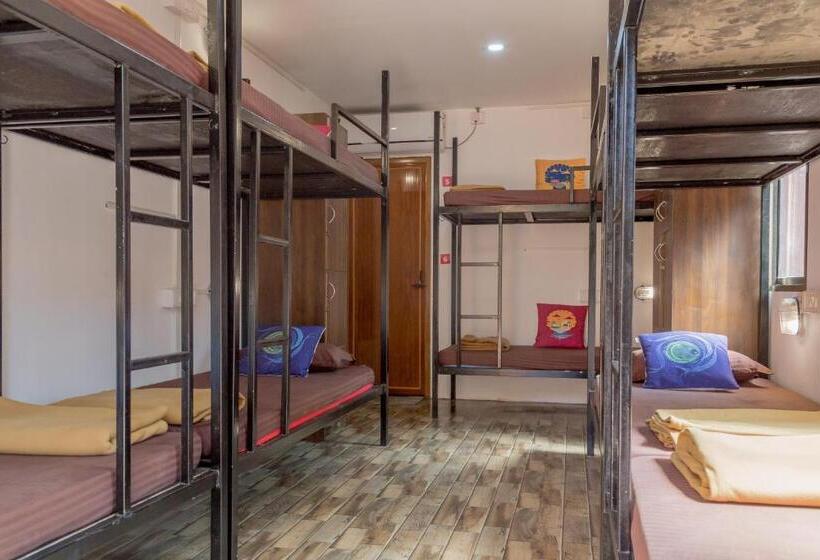 הוסטל Bunknbrew