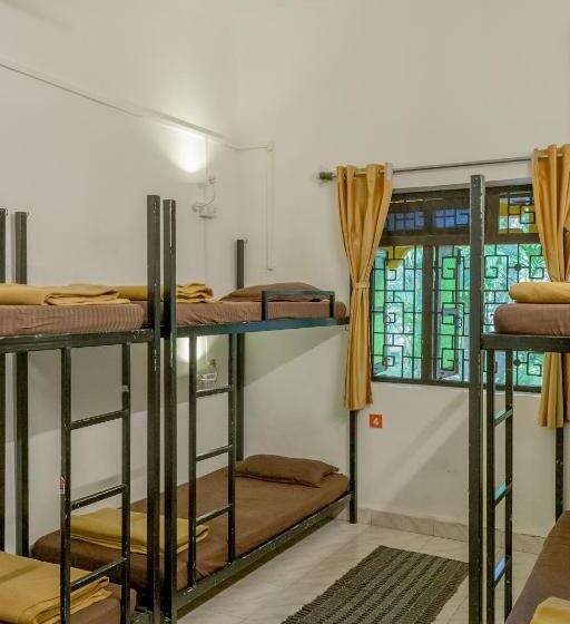 הוסטל Bunknbrew