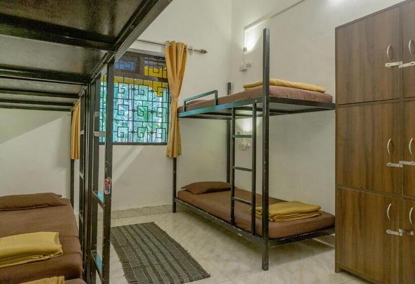 הוסטל Bunknbrew