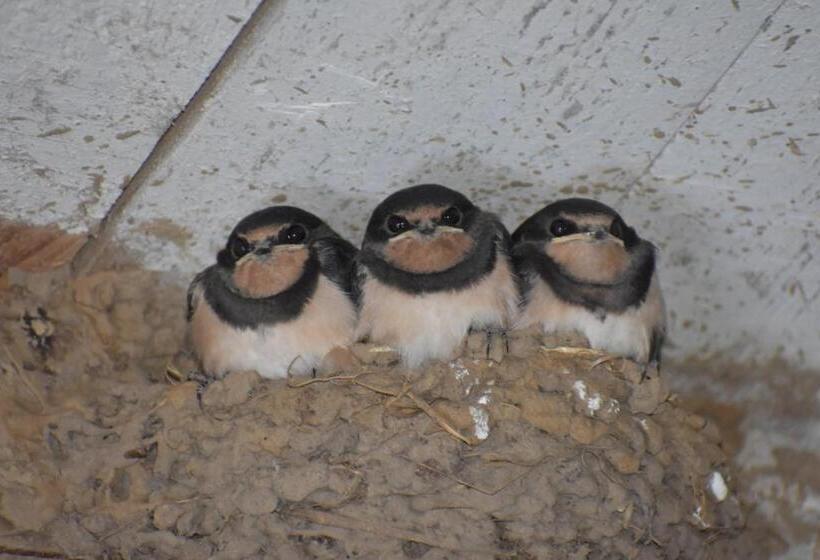 민박 Chambres Et Tables D Hôtes Cornec