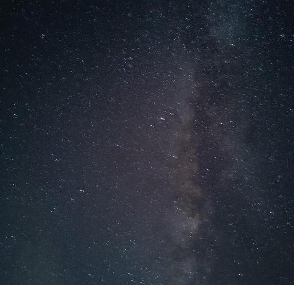 فندق Hobknob Sissu   Boutique Home