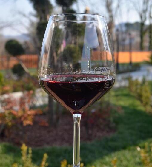 בית מלון כפרי N Peze