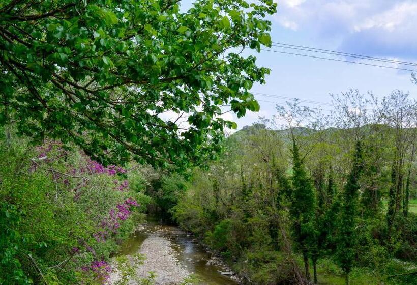 בית מלון כפרי N Peze