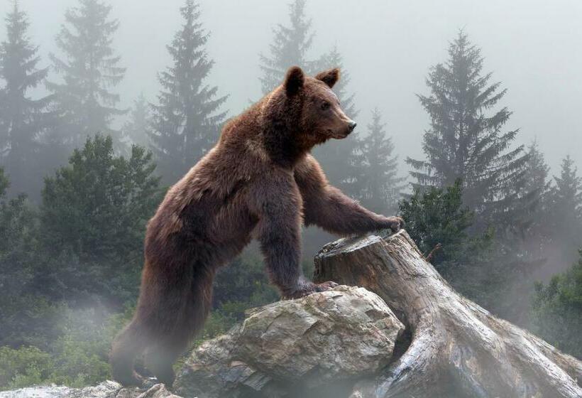 호텔 Omeo Suites Big Bear