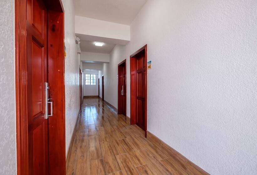 酒店 Voyager Sun & Reef