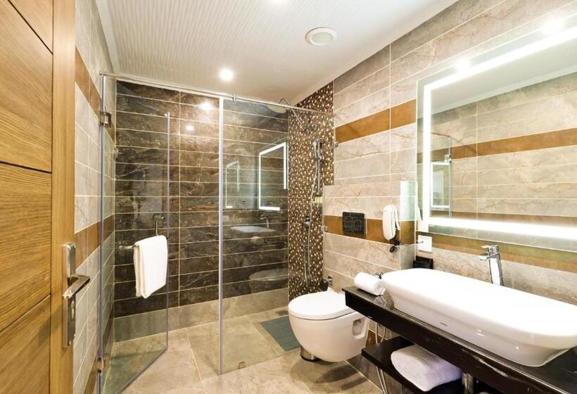 Justa Cliffend Resort & Spa Mashobra