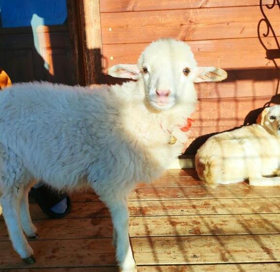 ペンション Room In Casa Castiglia A Woodhouse With Beautiful View Close Madonie Park