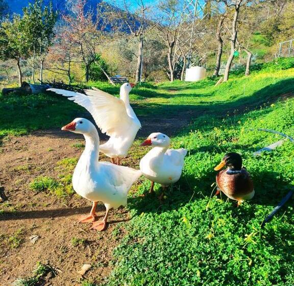 ペンション Room In Casa Castiglia A Woodhouse With Beautiful View Close Madonie Park