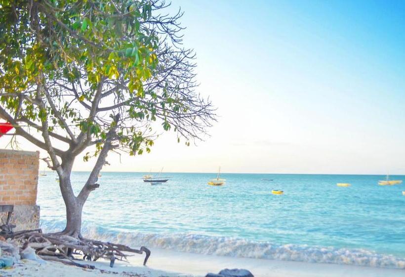 پانسیون Room In Bb   Room Ally At The Beach For 2 3 Guests