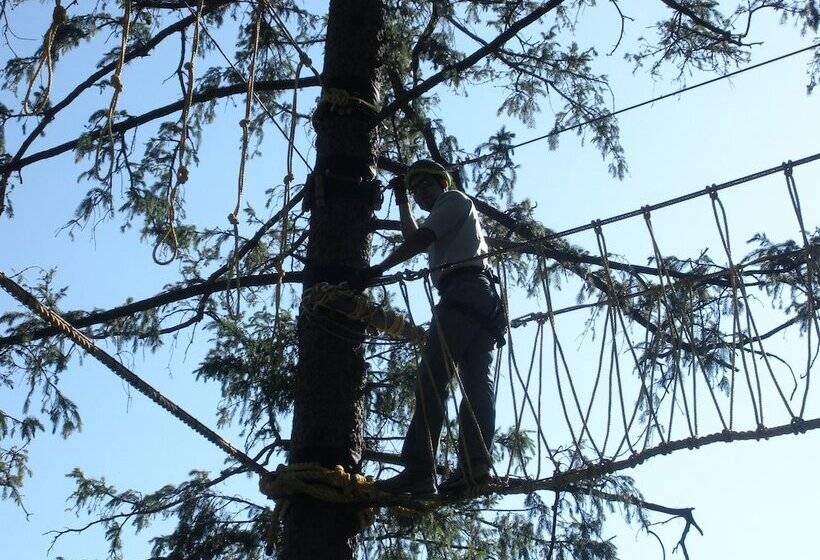 منتجع Aamod Dalhousie