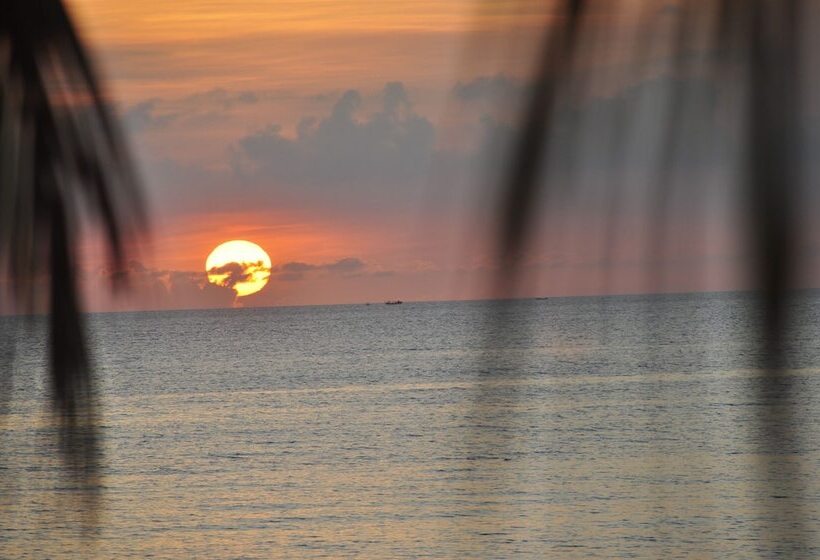 Badladz Beach And Dive Resort