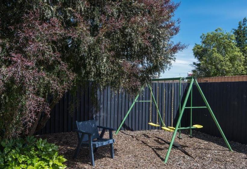 מוטל Bella Vista Nelson