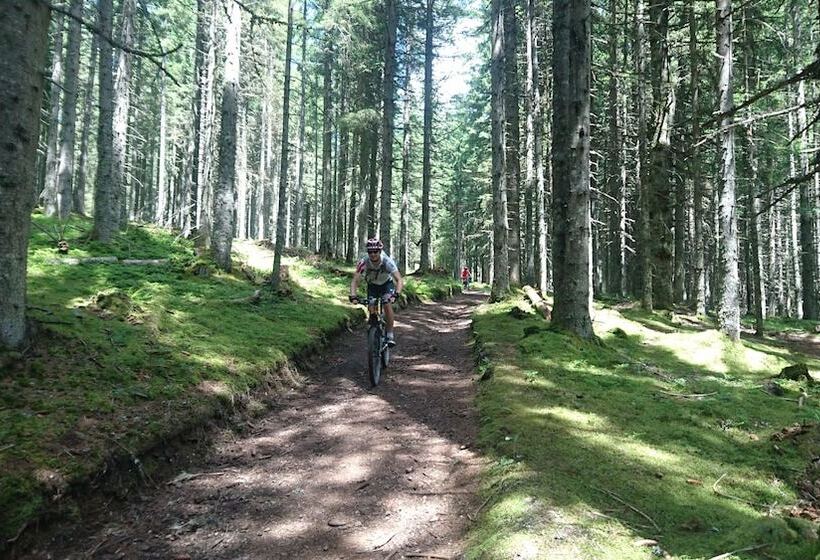 Aktivhotel Alpendorf