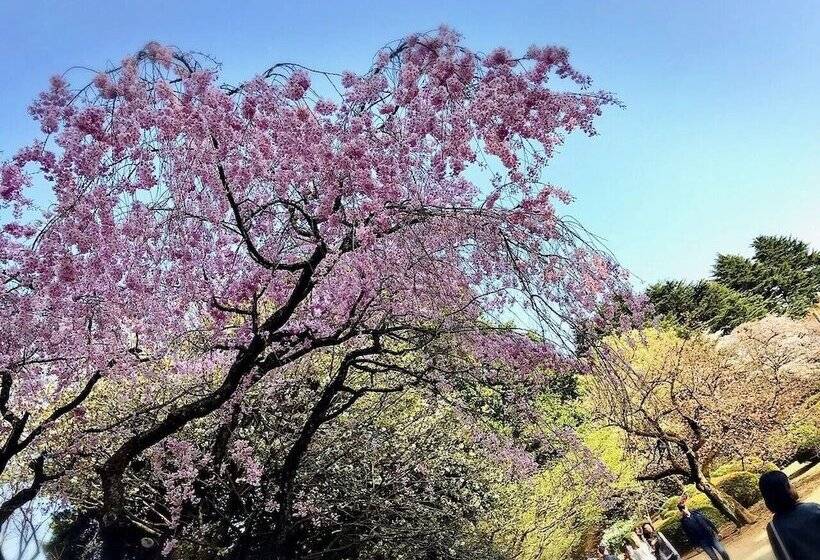 Apa Hotel Roppongi Six