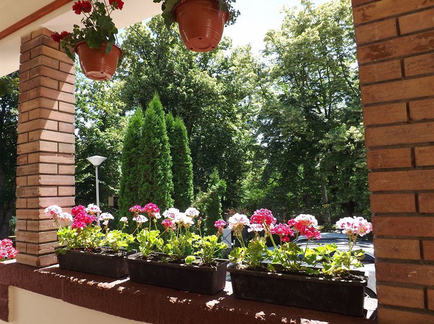 Отель Aquamarin