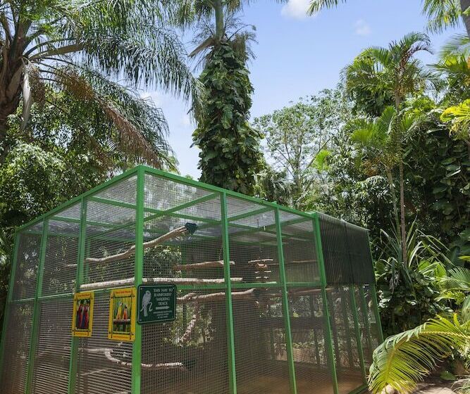 فندق Ashmore Palms Holiday Village