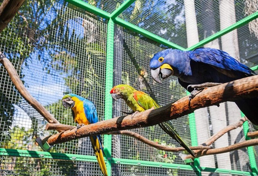 فندق Ashmore Palms Holiday Village