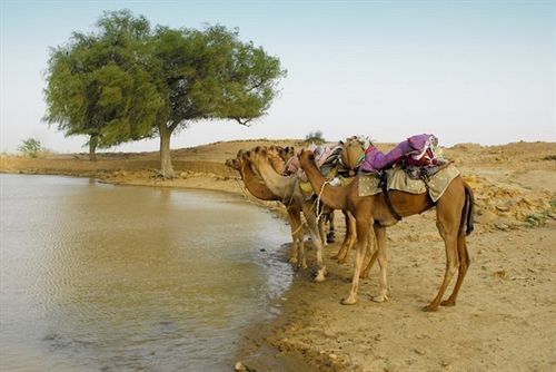 호텔 Deep Mahal & Safari