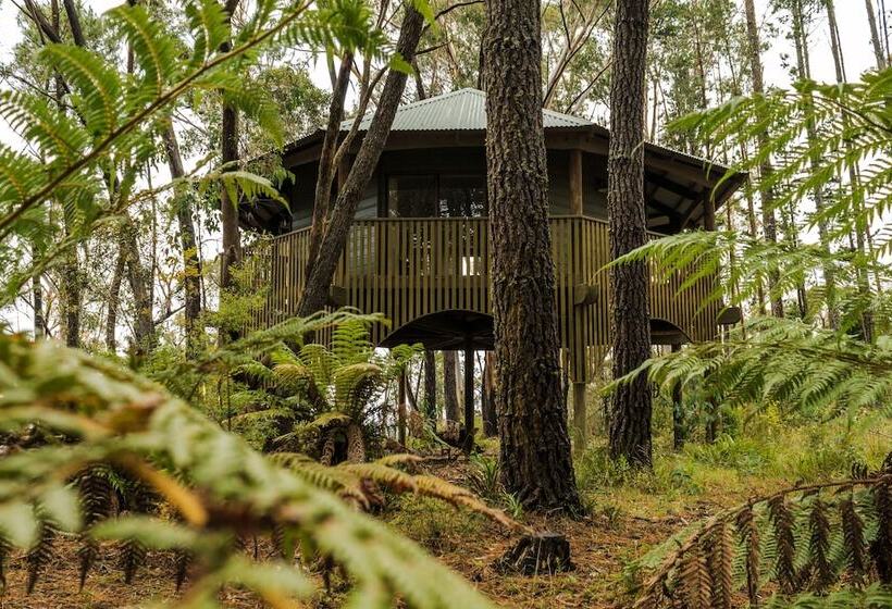 בית מלון כפרי Federation Gardens & Possums Hideaway