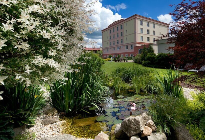 בית מלון כפרי Francis Palace