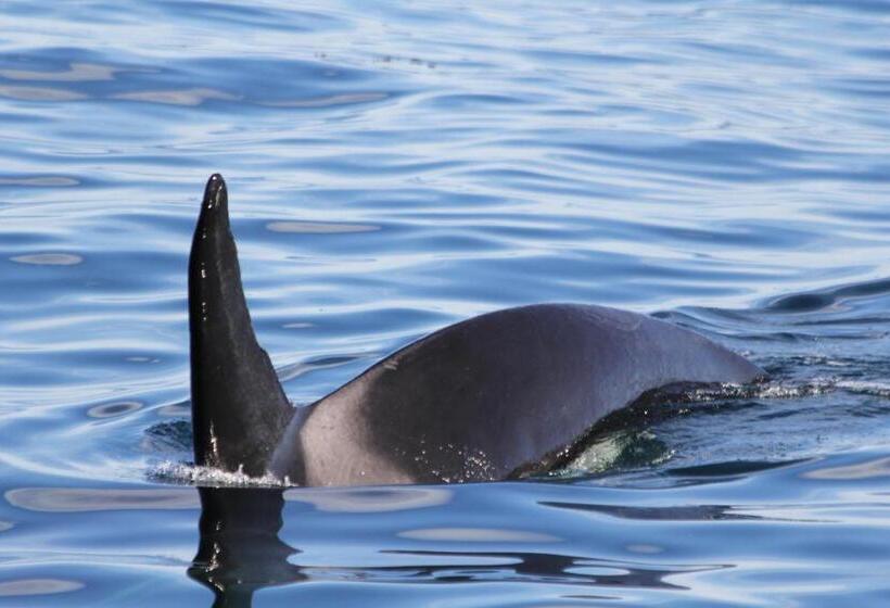 Boutique Hotel Kaikoura