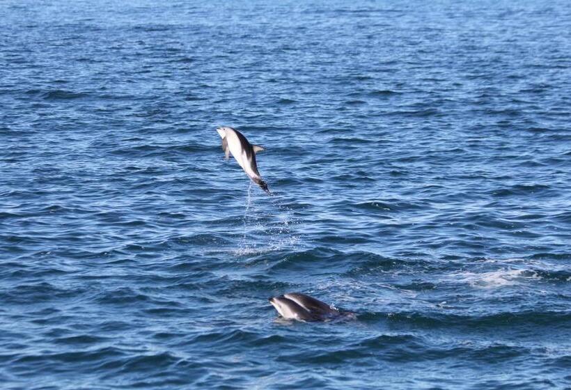 Boutique Hotel Kaikoura