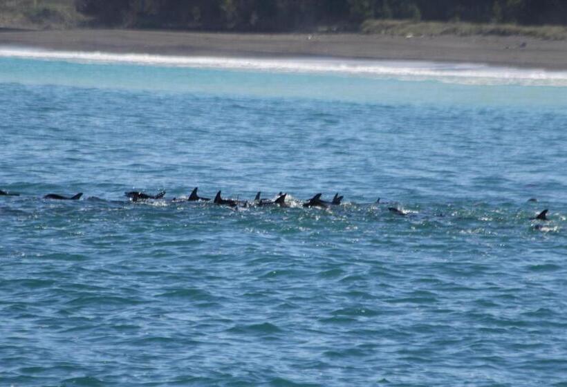 Boutique Hotel Kaikoura