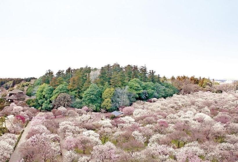 فندق Mito Keisei