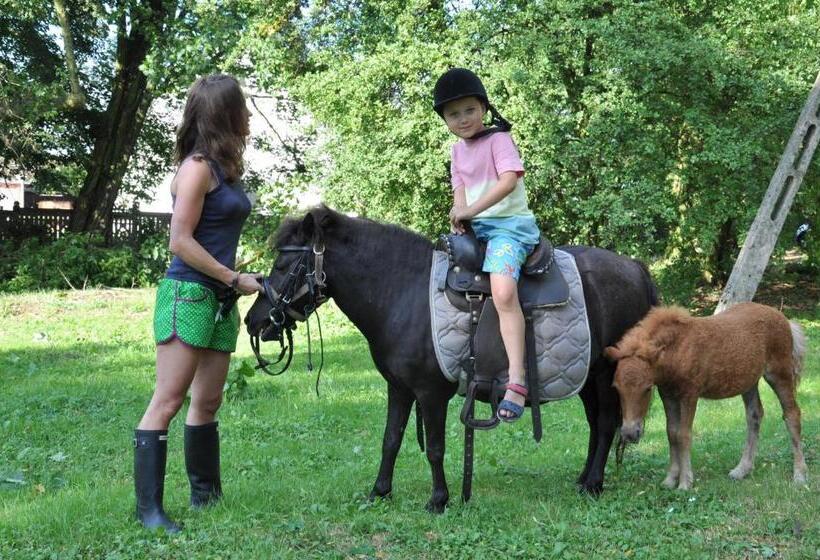 בית מלון כפרי Palace Popowo Stare