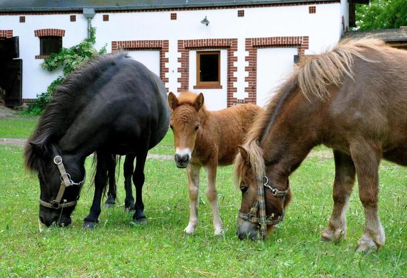 ホテル Palace Popowo Stare