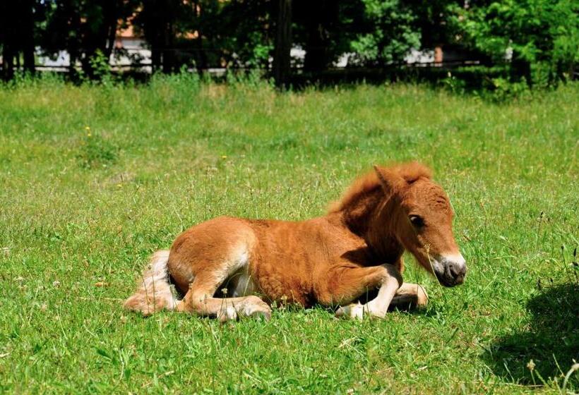 בית מלון כפרי Palace Popowo Stare