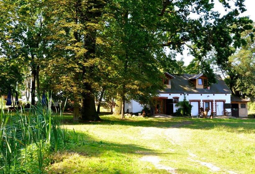 ホテル Palace Popowo Stare