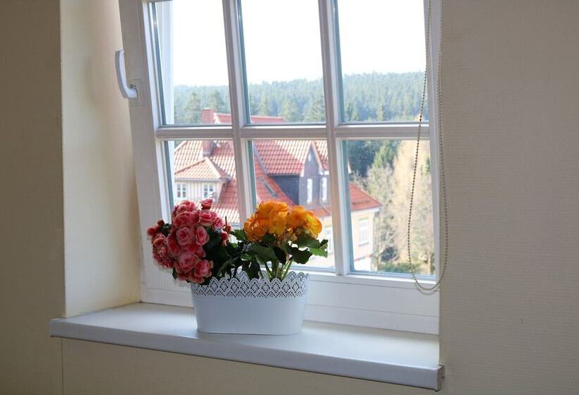 Regiohotel Am Brocken Schierke