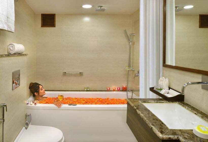 ホテル Golden Tulip Srinagar