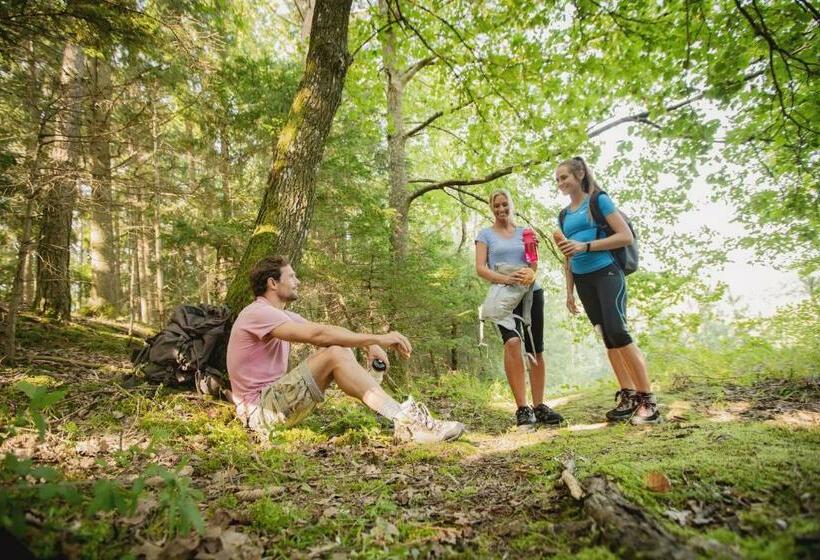 Thermenhotel Puchasplus Stegersbach