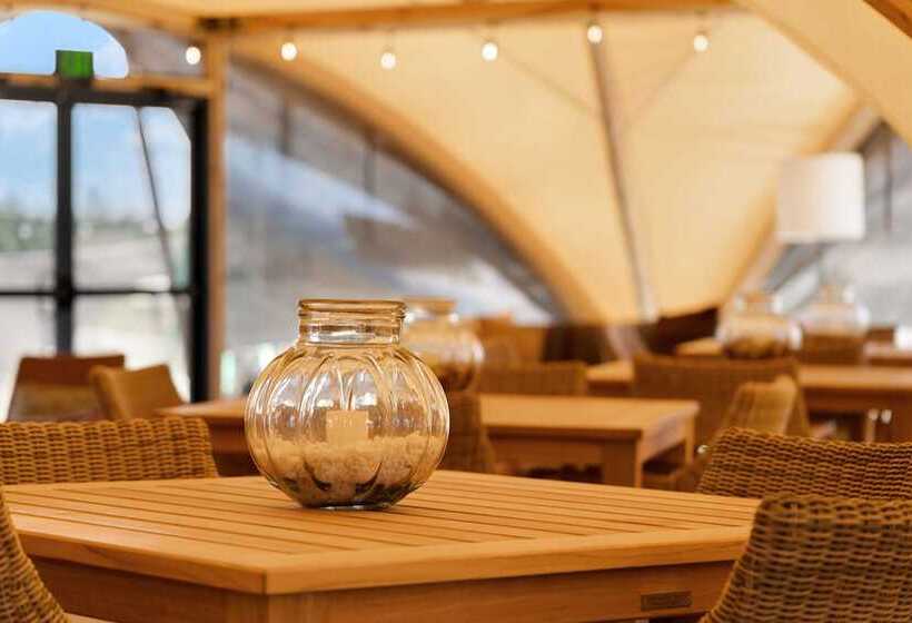 فندق Under Canvas West Yellowstone