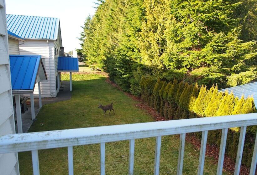 酒店 Whale S Tail Guest Suites