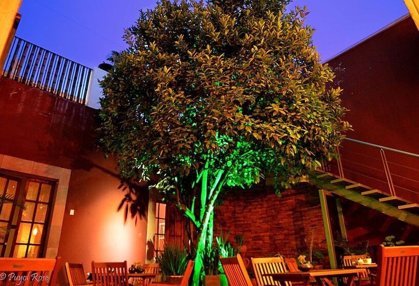 La Casa Del Naranjo Hotel Boutique