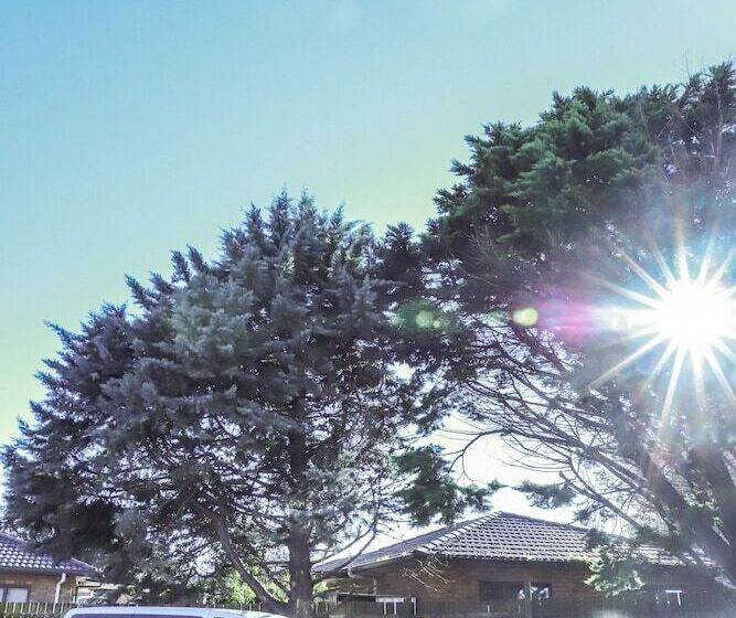 מוטל Airport Manor Inn